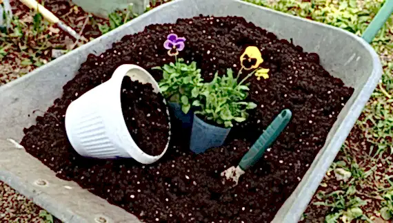 Çiçek toprağı için ne tür vitaminler kullanabiliriz?