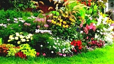 Bahçede bakımı kolay olan bitkiler hangileridir