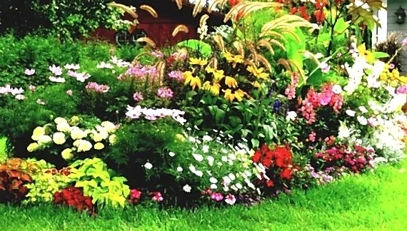 Bahçede bakımı kolay olan bitkiler hangileridir